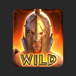 เครื่องหมาย WILD